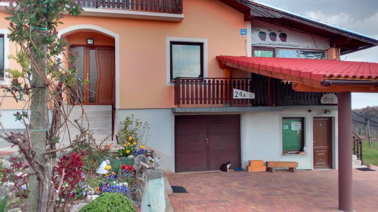 Studio Apartman Safaric Sveti Martin Na Muri Exterior photo
