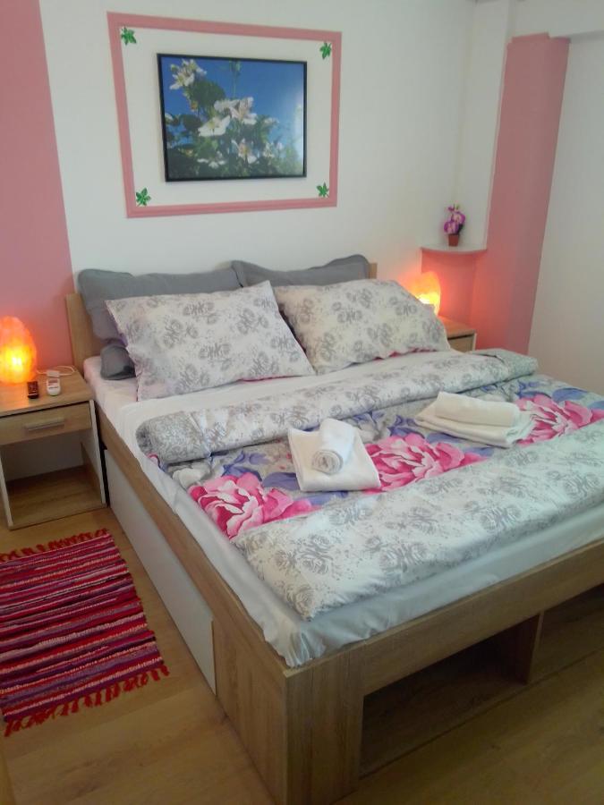 Studio Apartman Safaric Sveti Martin Na Muri Exterior photo
